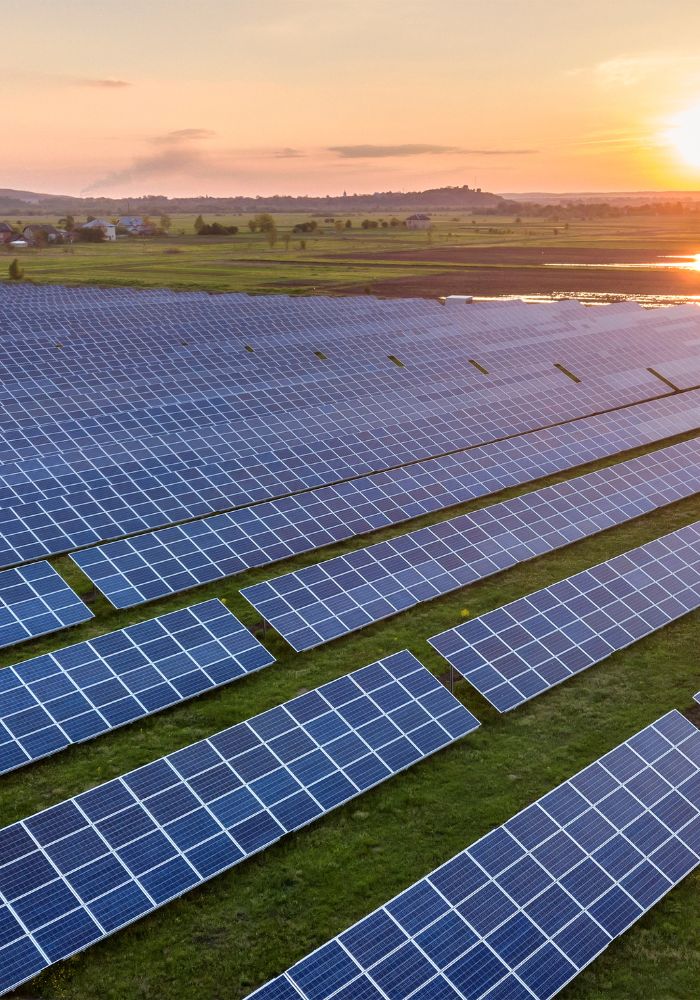 Untitled (700 x 1000 px) (1)